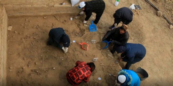 CNRS et Université de Bordeaux - Découverte culture Chine