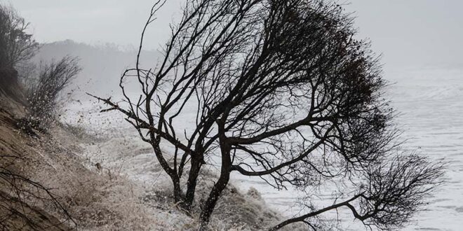 Visuel rivages en mouvement - Gironde