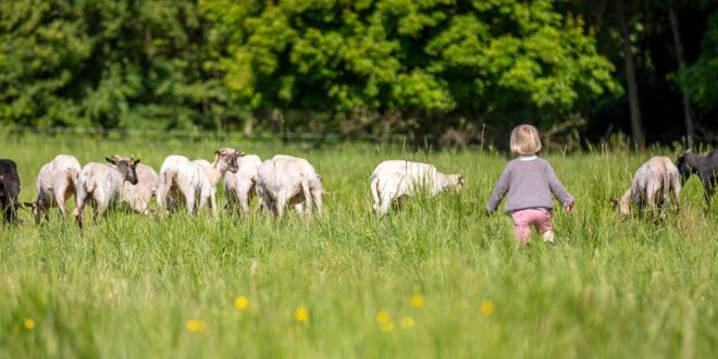 Communiqué Bordeaux Métropole - Parc des Jalles