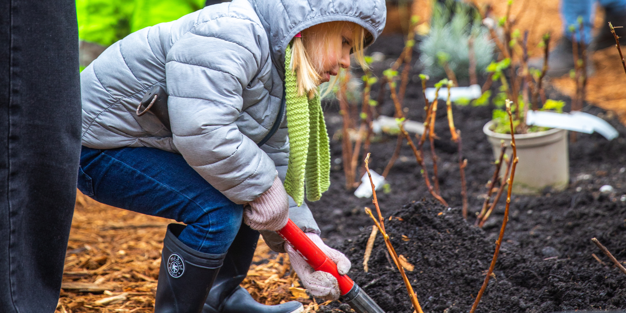 Arbre en fête - Bordeaux Métropole