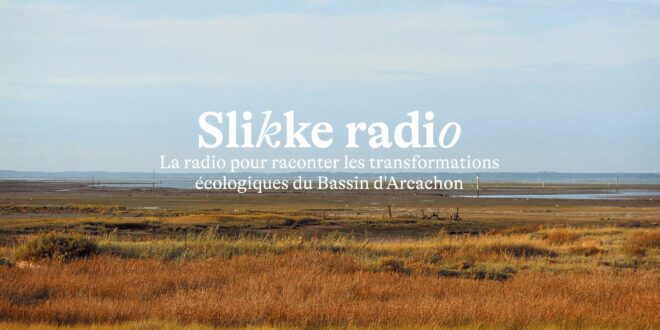 Kultoural webradio bassin d'Arcachon - Budget participatif Gironde