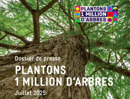DP BM 1M arbres